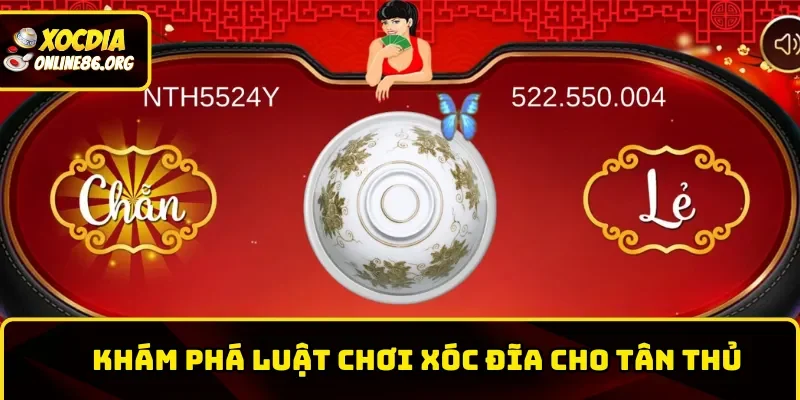 Chi tiết luật chơi xóc đĩa tại sân cược