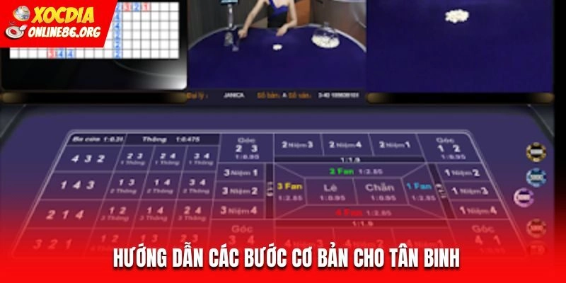 Hướng dẫn các bước cơ bản cho tân binh