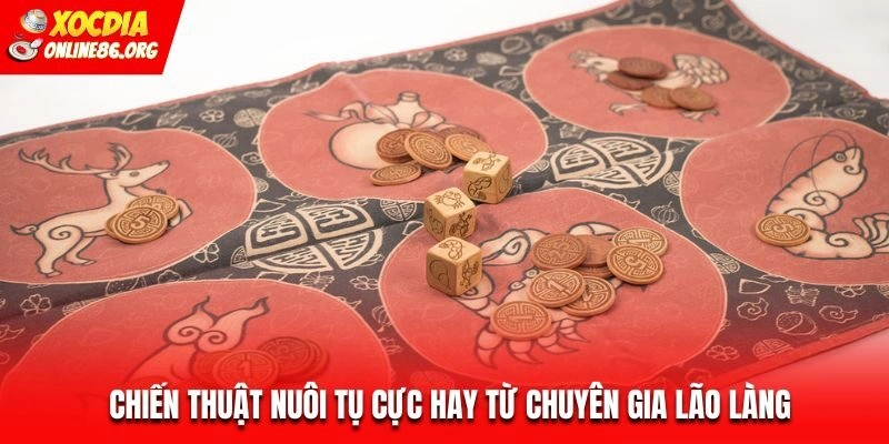 Chiến thuật nuôi tụ cực hay từ chuyên gia lão làng