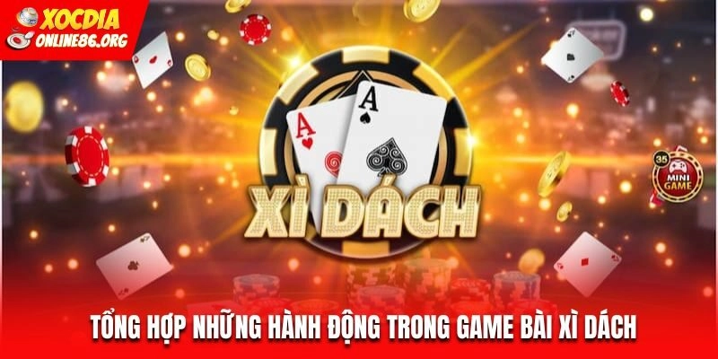 Tổng hợp những hành động trong game bài Xì Dách