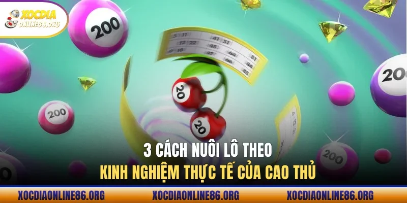 3 cách nuôi lô theo kinh nghiệm thực tế của cao thủ