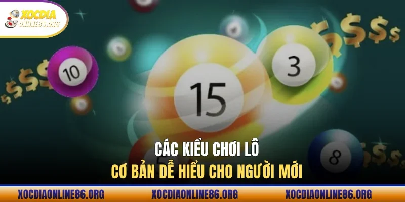 Các kiểu chơi lô cơ bản dễ hiểu cho người mới