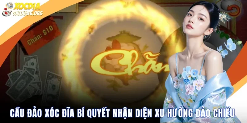 Cầu Đảo Xóc Đĩa Bí Quyết Nhận Diện Xu Hướng Đảo Chiều