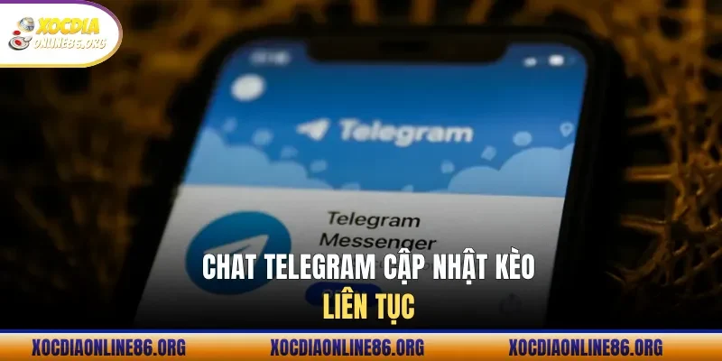 Chat Telegram cập nhật kèo liên tục