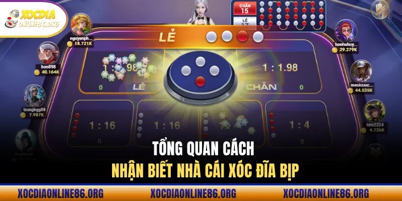 Hướng dẫn chung để nhận biết nhà cái xóc đĩa bịp