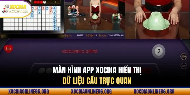 Màn hình app xocdia hiển thị dữ liệu cầu trực quan