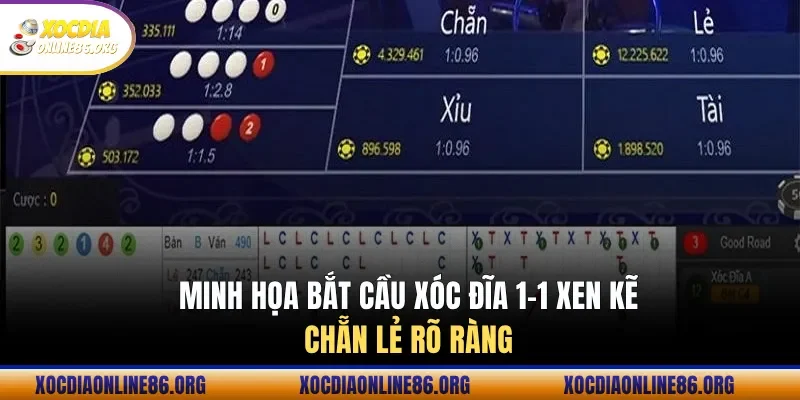 Minh họa bắt cầu xóc đĩa 1-1 xen kẽ chẵn lẻ rõ ràng