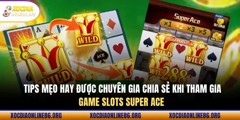 Review mẹo hay được hé lộ dành cho tân binh