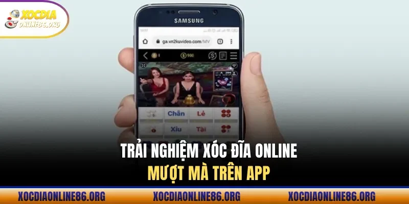 Trải nghiệm xóc đĩa online mượt mà trên app